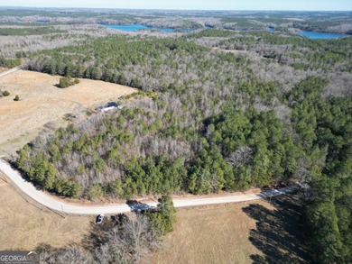 Your own slice of the Georgia outdoors on nearly 4 wooded acres - photo 9