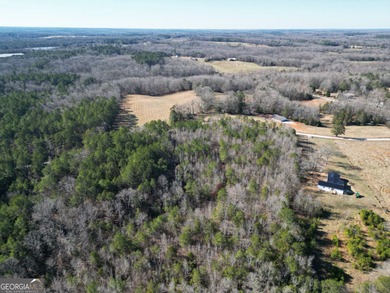 Your own slice of the Georgia outdoors on nearly 4 wooded acres - photo 10
