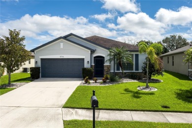 Lake Home For Sale in Parrish, Florida