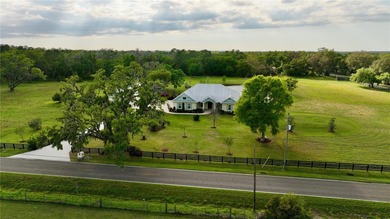 (private lake, pond, creek) Home For Sale in Plant City Florida