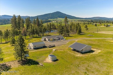 This spacious 4-bedroom, 2-bathroom home sits on an impressive - photo 1