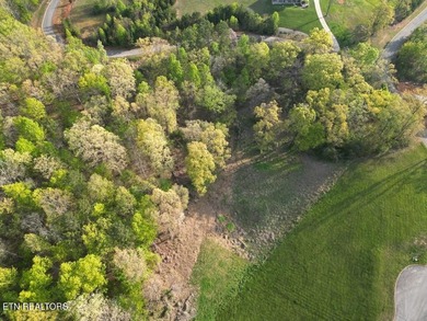 Build your dream home in one of Cherokee Lake's most desirable - photo 11