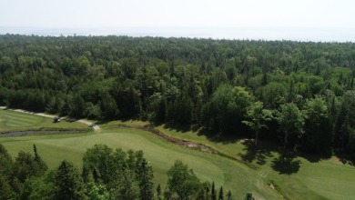 2 Vacant Golf Course Lots - Lake Lot For Sale in Manistique, Michigan