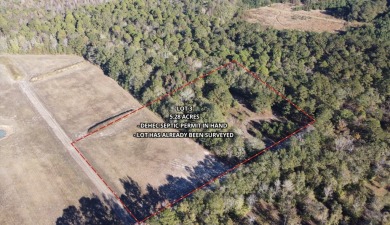 Lake Acreage For Sale in Saint Stephen, South Carolina