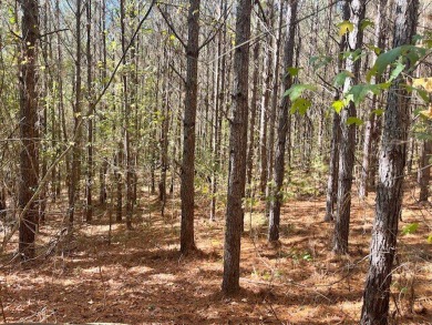 Lake Acreage For Sale in Fayette, Alabama