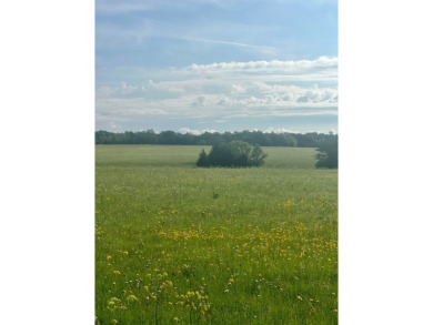 HIGH-TRAFFIC COMMERCIAL DEVELOPMENT LAND - ARDMORE, OK Location - photo 23