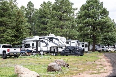 Mormon Lake Lodge is a premier 280 acre mountain resort that - photo 11