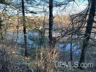 (private lake, pond, creek) Lot For Sale in Fence T-WI Wisconsin