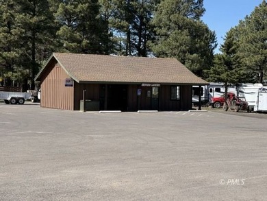 Mormon Lake Lodge is a premier 280 acre mountain resort that - photo 12