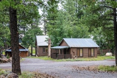 Mormon Lake Lodge is a premier 280 acre mountain resort that - photo 14