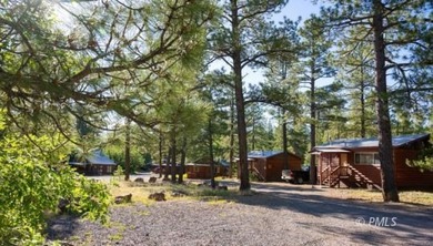 Mormon Lake Lodge is a premier 280 acre mountain resort that - photo 15