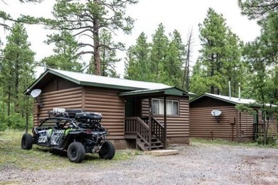 Mormon Lake Lodge is a premier 280 acre mountain resort that - photo 16