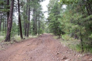 Mormon Lake Lodge is a premier 280 acre mountain resort that - photo 17