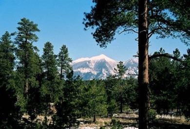 Mormon Lake Lodge is a premier 280 acre mountain resort that - photo 19