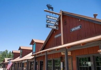 Mormon Lake Lodge is a premier 280 acre mountain resort that - photo 20