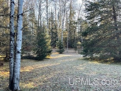 (private lake, pond, creek) Lot For Sale in Fence T-WI Wisconsin