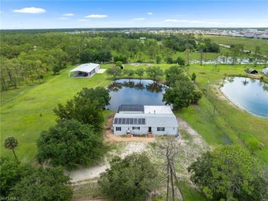 Lake Home For Sale in Estero, Florida
