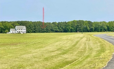 PRICE IMPROVEMENT!! Cleared lot of 1.15 acres in the community - photo 3