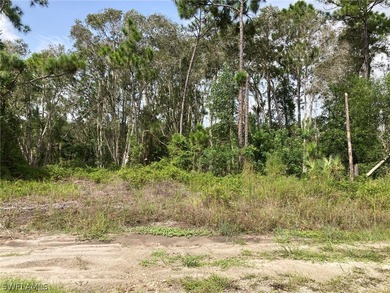 Lehigh Acres Area Commercial For Sale in Lehigh Acres Florida