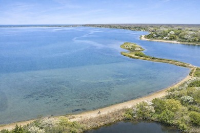 Set within the coveted Hampton Waters waterfront community in - photo 28