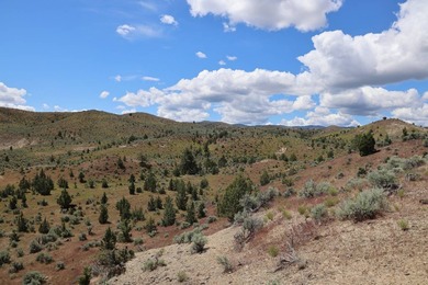 This Eastern Oregon Ranch is rich in heritage and natural beauty - photo 5