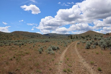 This Eastern Oregon Ranch is rich in heritage and natural beauty - photo 6
