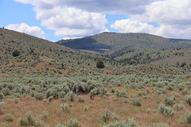 This Eastern Oregon Ranch is rich in heritage and natural beauty - photo 7