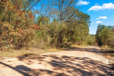 Private 6.75-Acre Retreat with Updated 3BR/2BA Home - Move-In - photo 11