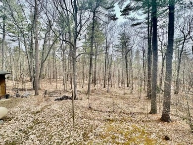 SELLER IS OFFERING A $5000.00 CREDIT INCENTIVE TOWARD BUYER - photo 28