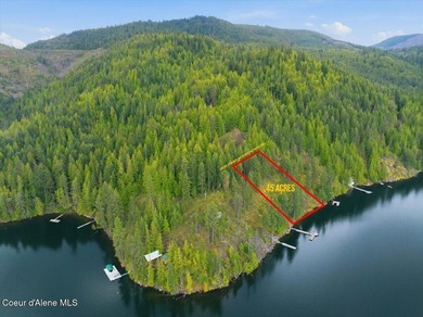 Own 100' of breathtaking shoreline on nearly 1/2 acre in Comans - photo 1