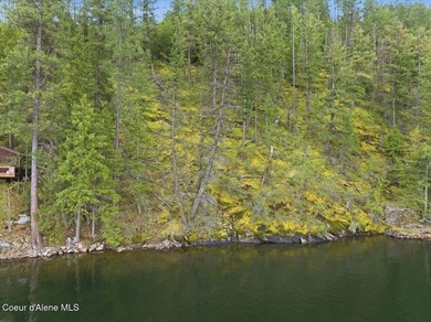 Own 100' of breathtaking shoreline on nearly 1/2 acre in Comans - photo 2