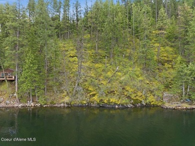Own 100' of breathtaking shoreline on nearly 1/2 acre in Comans - photo 3