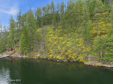 Own 100' of breathtaking shoreline on nearly 1/2 acre in Comans - photo 4