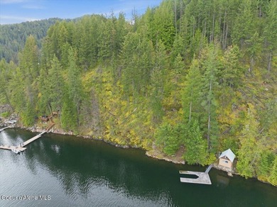 Own 100' of breathtaking shoreline on nearly 1/2 acre in Comans - photo 5