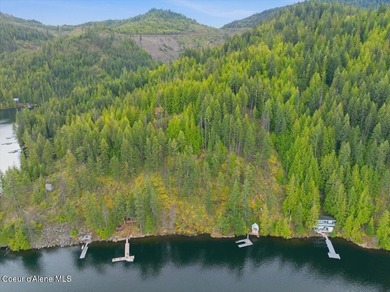 Own 100' of breathtaking shoreline on nearly 1/2 acre in Comans - photo 6