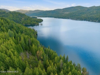 Own 100' of breathtaking shoreline on nearly 1/2 acre in Comans - photo 7
