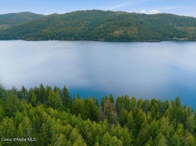 Own 100' of breathtaking shoreline on nearly 1/2 acre in Comans - photo 8