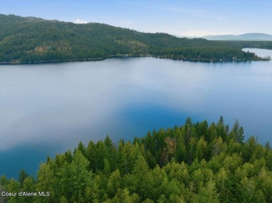 Own 100' of breathtaking shoreline on nearly 1/2 acre in Comans - photo 9