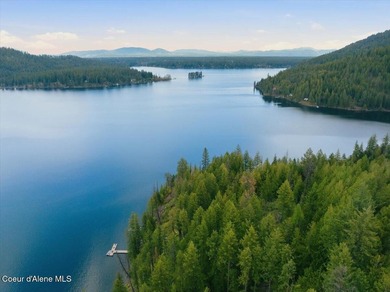 Own 100' of breathtaking shoreline on nearly 1/2 acre in Comans - photo 10