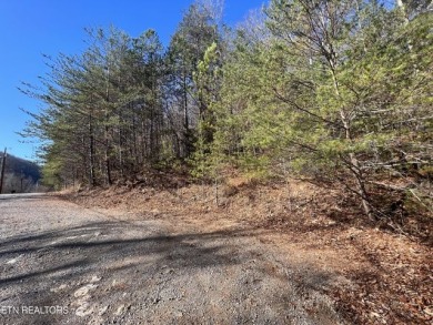 43+ LAKEFRONT Acres... Hard to Find! - photo 9