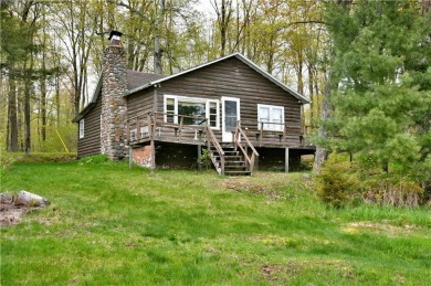 (private lake, pond, creek) Home For Sale in Grand View Wisconsin
