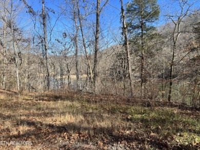 43+ LAKEFRONT Acres... Hard to Find! - photo 12