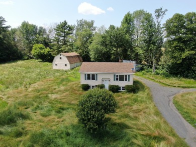 Lake Home For Sale in Newport, Maine