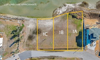 Rare opportunity to own a large sound front parcel in Morehead - photo 3