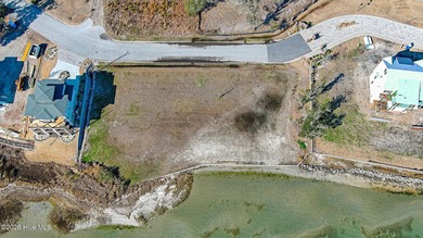 Rare opportunity to own a large sound front parcel in Morehead - photo 5