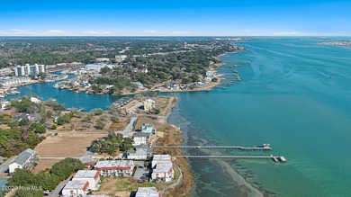 Rare opportunity to own a large sound front parcel in Morehead - photo 6