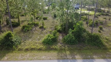 Lehigh Acres Area Lot For Sale in Lehigh Acres Florida
