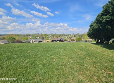 Lot 84 Mallard Baye is a beautiful future homesite positioned to - photo 11