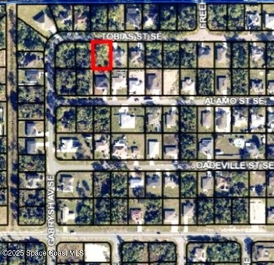 VACANT LAND = Build your New Home in a Desirable Area of Palm - photo 1