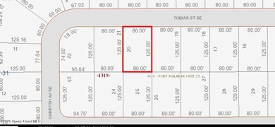 VACANT LAND = Build your New Home in a Desirable Area of Palm - photo 2